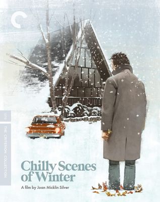 Image of Chilly Scenes of Winter Criterion Blu-ray boxart