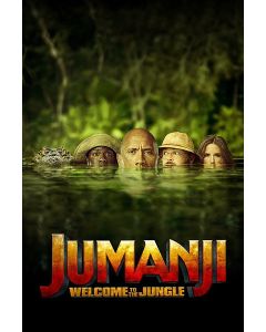 Jumanji: Welcome To The Jungle (DVD)