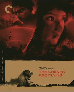 Cranes Are Flying, The (Blu-ray)